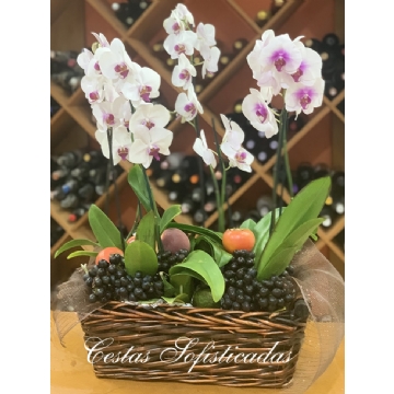 Cesta Orquídeas Frutas I. Cestas Sofisticadas