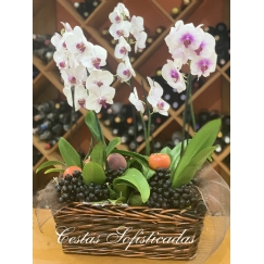 Foto Cesta Orquídeas Frutas I