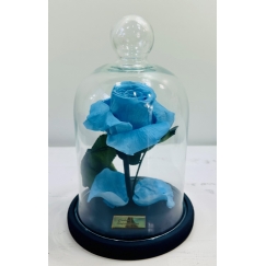 Foto Rosa Natural Encantada Azul