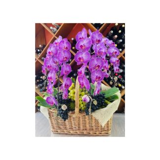 Arranjo Orquidea Sofisticação