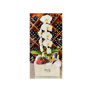 Cesta Encanto com Arranjo Orquideas Cascatas