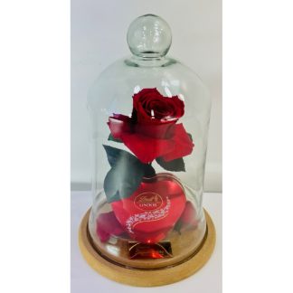 A Rosa Encantada Vermelha com o Coração de Chocolate Lindt