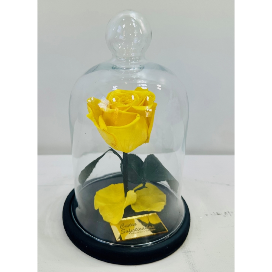 Rosa Encantada Amarela