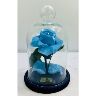 Rosa Natural Encantada Azul