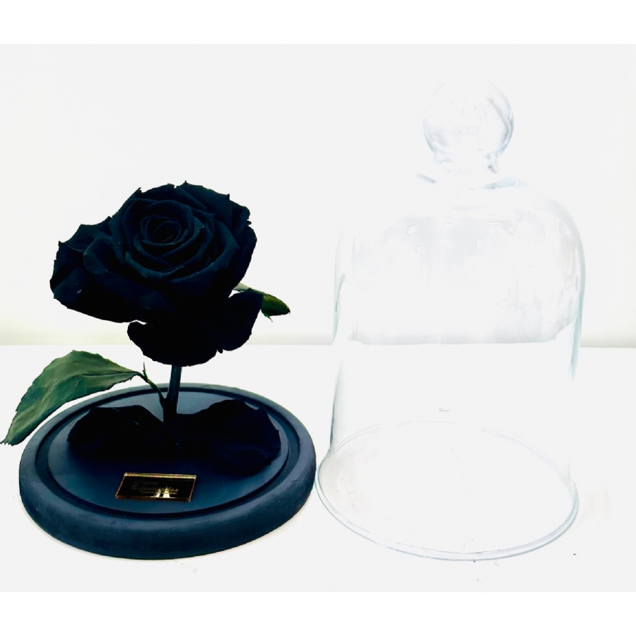 Rosa Natural Encantada Preta - Negra - Imagem 2