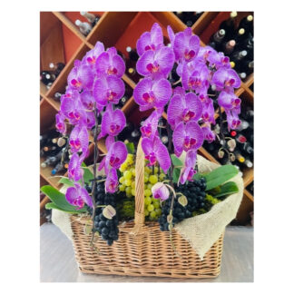 Arranjo Orquidea Sofisticação