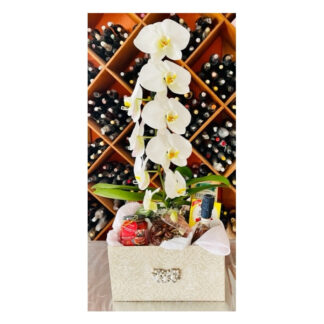 Cesta Encanto com Arranjo Orquideas Cascatas