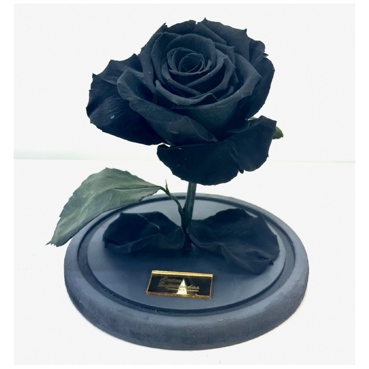 Rosa Natural Encantada Preta - Negra